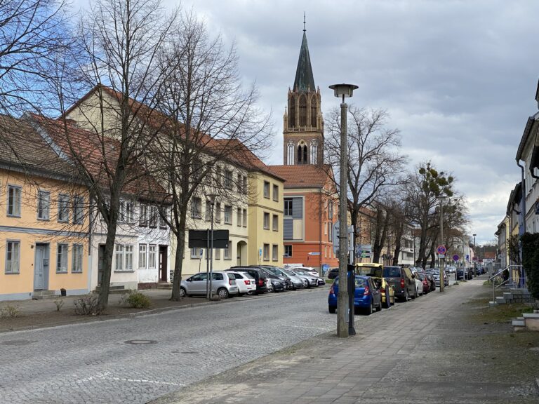 Keine Rettung für Linden in der Großen Wollweberstraße